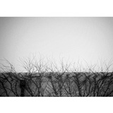 dailyPhoto9